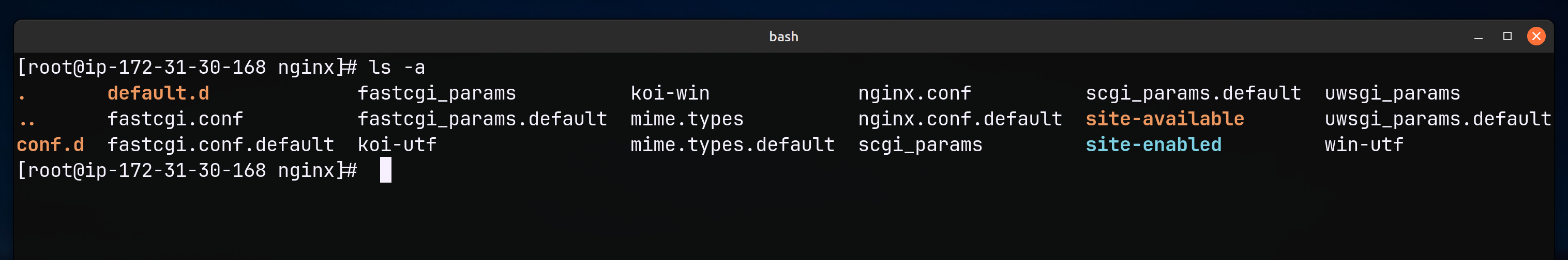 Nginx Config Directory